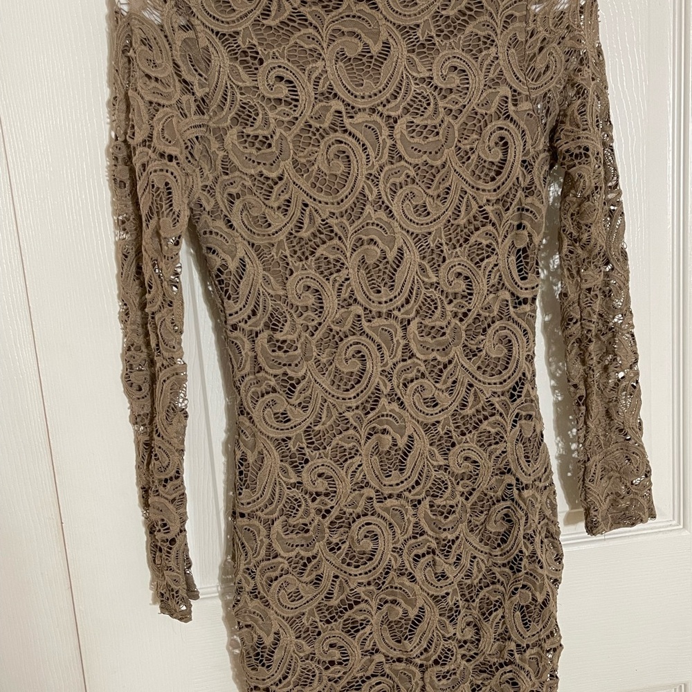 Windsor Elegant Lace Dress in Tan